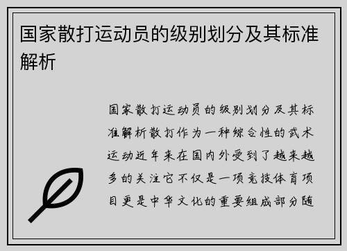 国家散打运动员的级别划分及其标准解析